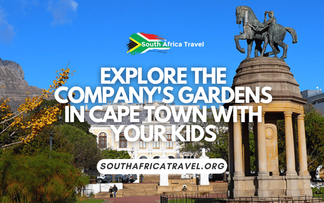 Explore the Company's Gardens in Cape Town With Your Kids