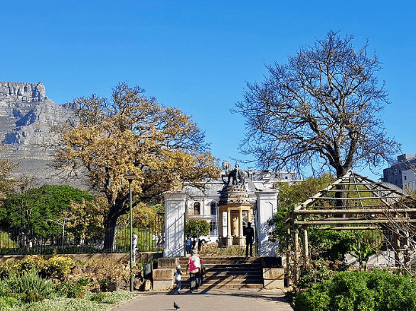 Company's Gardens with Kids