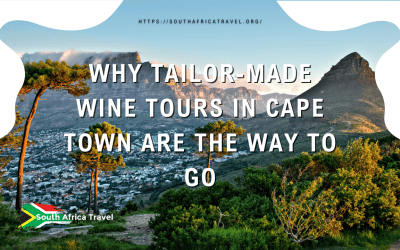 Why Tailor-made Wine Tours in Cape Town Are the Way to Go