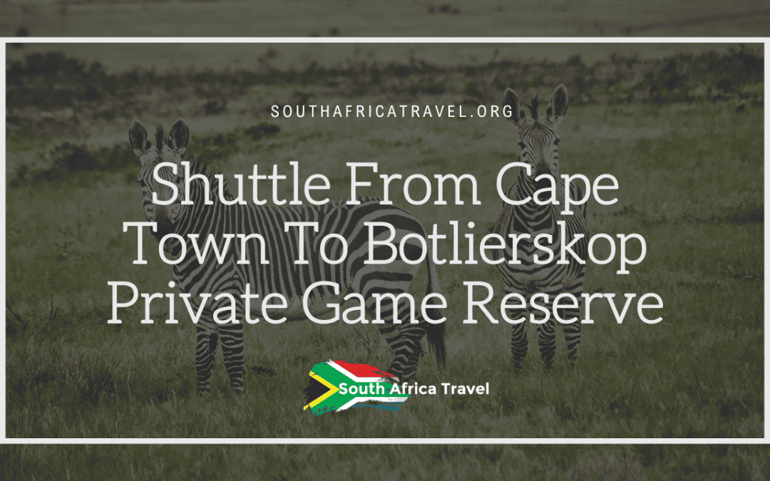 Shuttle From Cape Town To Botlierskop Private Game Reserve