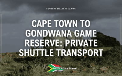 Cape Town to Gondwana Game Reserve: Private Shuttle Transport