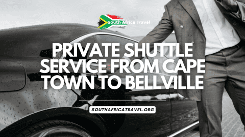 Why Is Penis Erect In Anatomically Correct Man