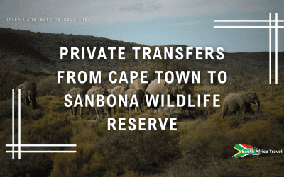 Private Transfers from Cape Town to Sanbona Wildlife Reserve