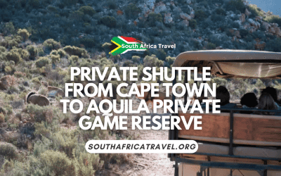 Private Shuttle From Cape Town To Aquila Private Game Reserve