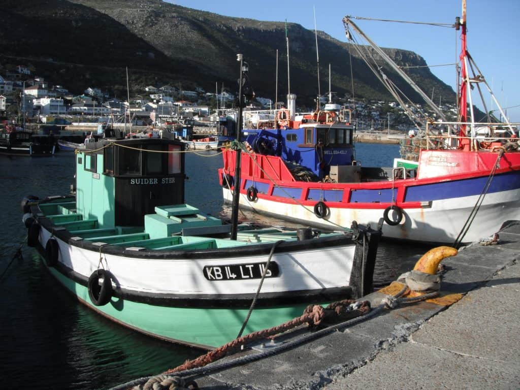 Private Shuttle Service From Cape Town To False Bay