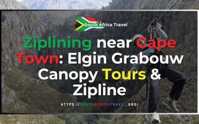 Ziplining near Cape Town: Elgin Grabouw Canopy Tours & Zipline