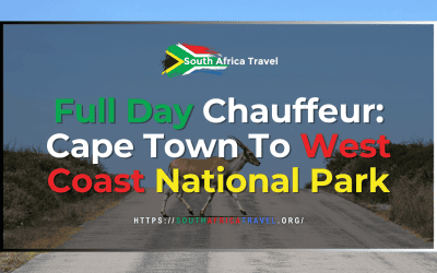 Full Day Chauffeur: Cape Town To West Coast National Park