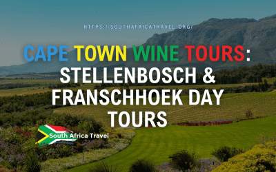 Cape Town Wine Tours: Stellenbosch & Franschhoek Day Tours