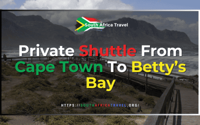 Private Shuttle From Cape Town To Betty’s Bay
