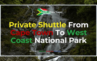 Private Shuttle From Cape Town To West Coast National Park