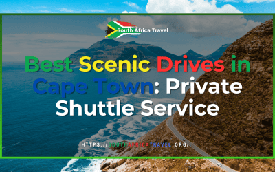 Best Scenic Drives in Cape Town: Private Shuttle Service