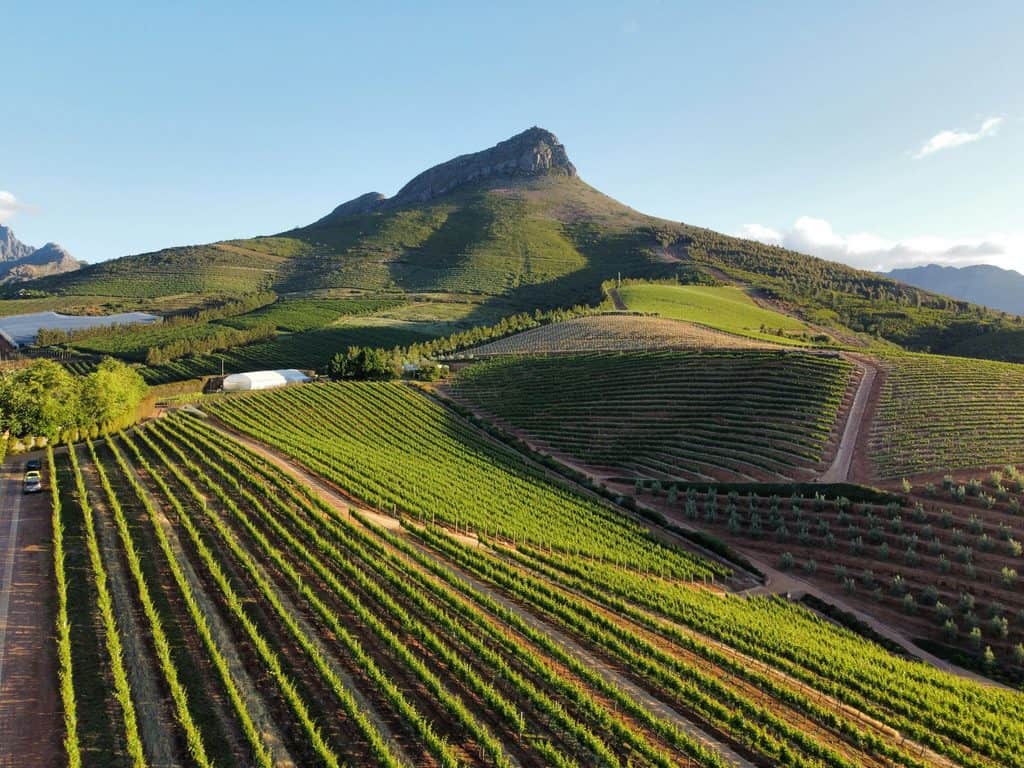 Overview of Wine Tours and Experiences